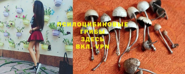 MESCALINE Алзамай