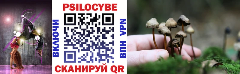 Псилоцибиновые грибы Psilocybe  купить закладку  Коркино 